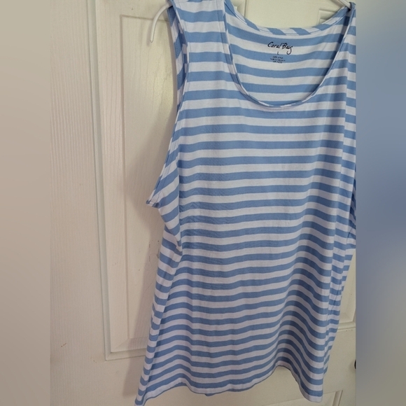 Coral Bay Blue And White  Striped Women's Top Size Large (EUC) - Picture 6 of 8